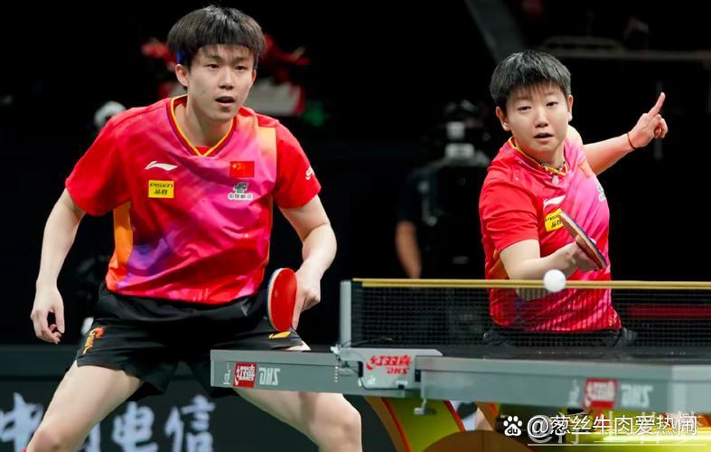 乒乓混双世界杯半决赛精华:德国对决日本 乒乓混双世界杯半决赛精华:德国对决日本