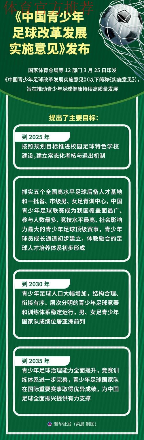 振奋中拥抱中国足球的春天--各界热议足改方案